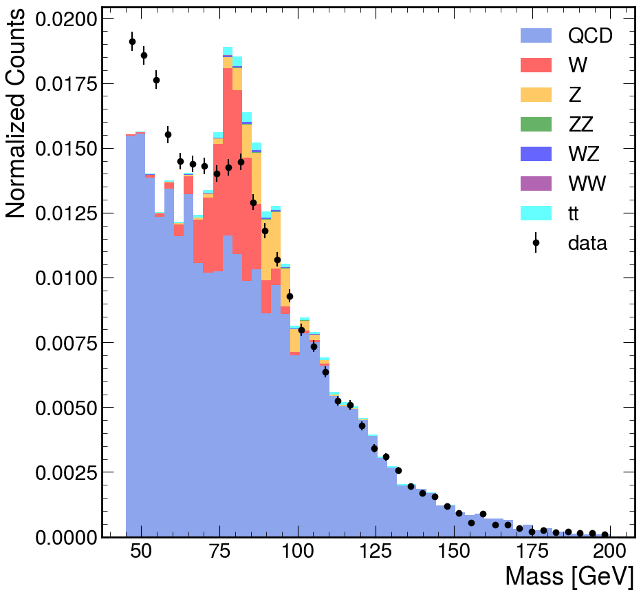 W Boson Mass Peak