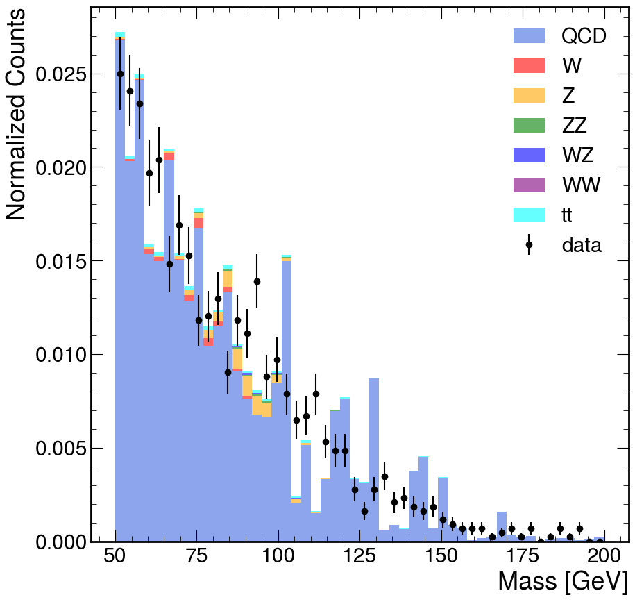 Z Boson Mass Peak